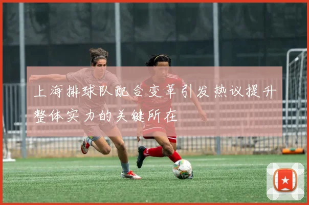 上海排球队配合变革引发热议提升整体实力的关键所在