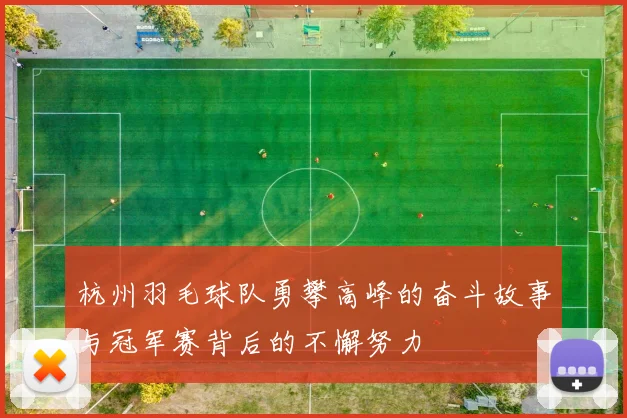 杭州羽毛球队勇攀高峰的奋斗故事与冠军赛背后的不懈努力