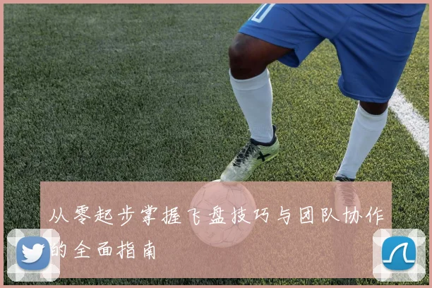 从零起步掌握飞盘技巧与团队协作的全面指南