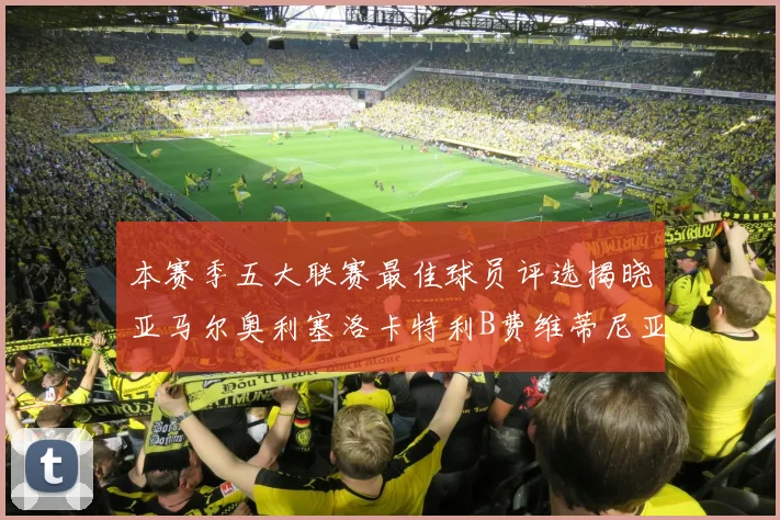 本赛季五大联赛最佳球员评选揭晓亚马尔奥利塞洛卡特利B费维蒂尼亚入围